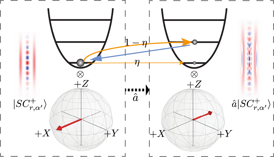 Squeezed cat qubit undergoing excitation loss and autonomous error correction